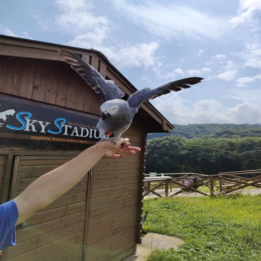 那須どうぶつ王国人気パフォーマンス ブロード のメンバー紹介 那須どうぶつ王国 日々 どうぶつ日誌