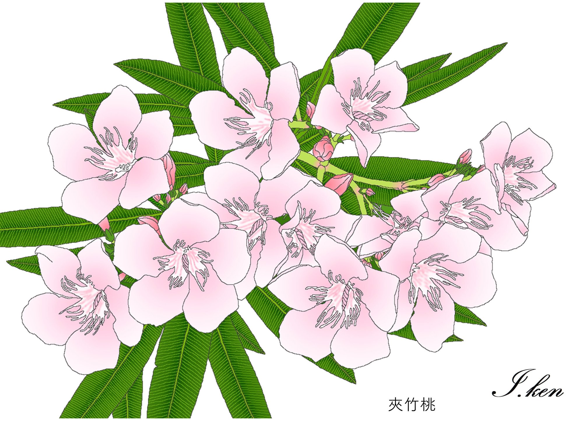 境を越えて通信 Vol 38 22年9月号 Npo法人境を越えて Note 境を越えて通信 Vol 38 22年9月号 Npo法人境を越えて Note