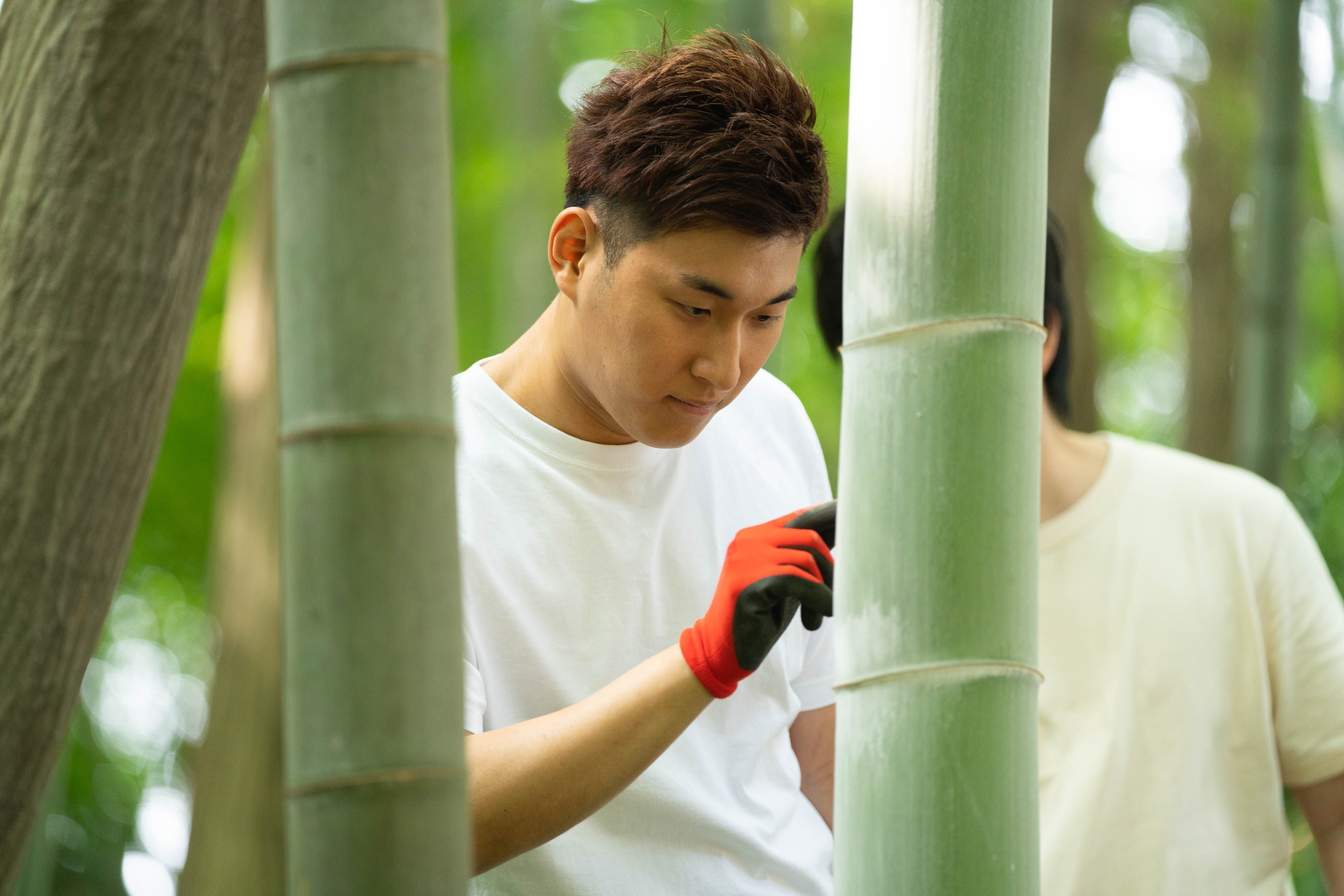 BEHIND ZETA - 「3人のパワー系男子がDIY界に殴り込み！竹林流し