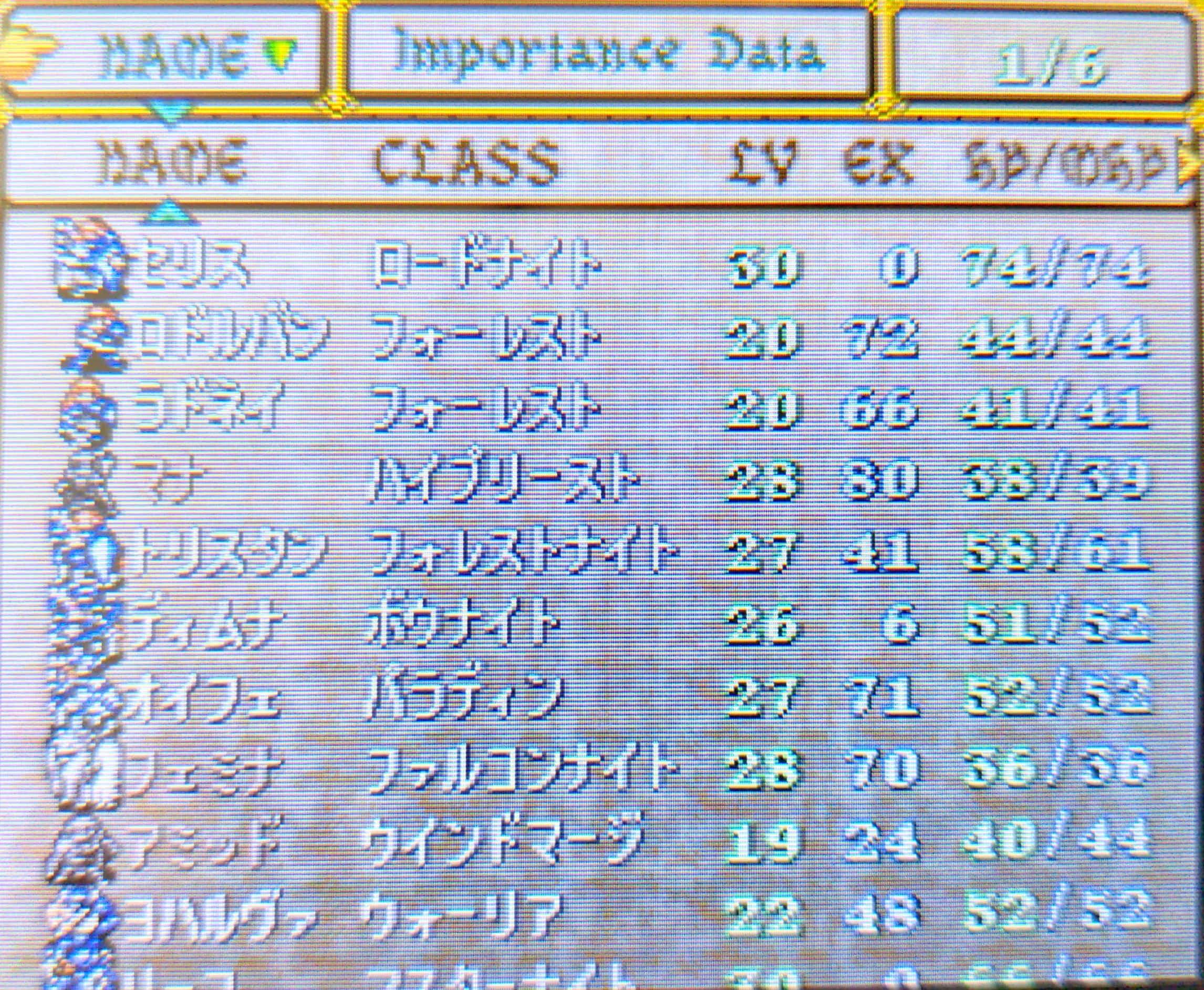 ファイアーエムブレム聖戦の系譜・平民ノーリセット300ターン
