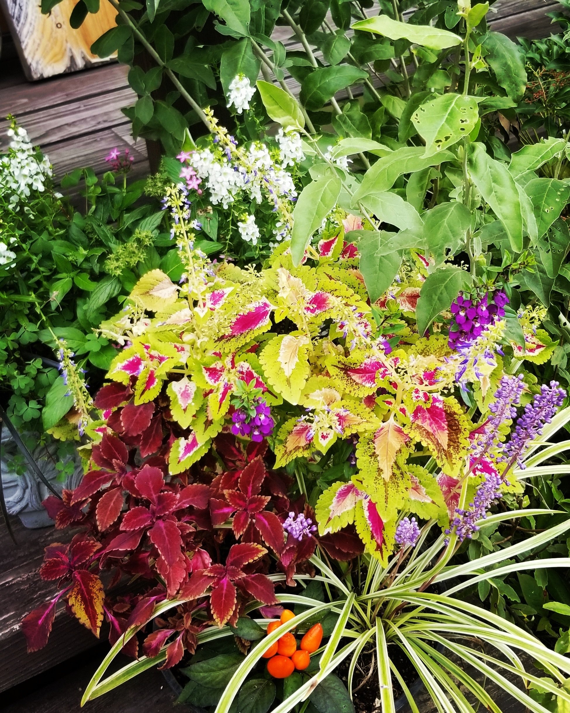 花と十五夜月とススキのデザイン麻のれん 一哉 秋の野の花ー9月の十五夜に「ススキ」の穂が見つかるかしら