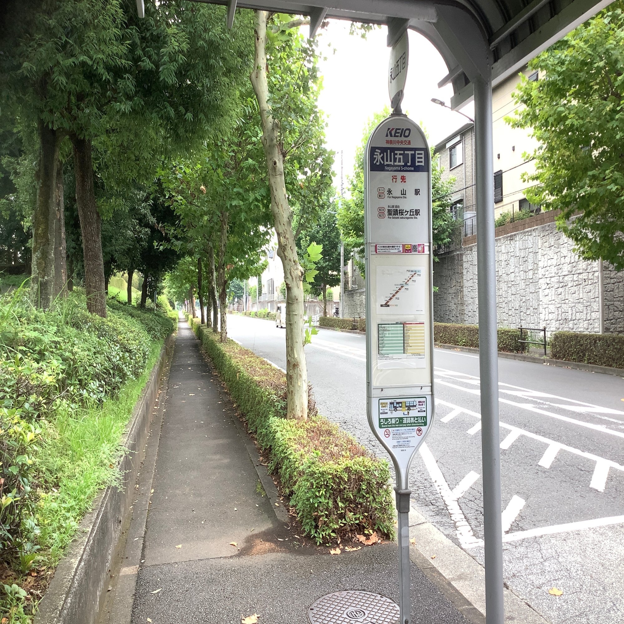 シャニマスP向け）聖蹟桜ヶ丘を徒歩だけでめぐるのは大変なので考え直した方がいい ※2023/03/14更新｜やこ炒め