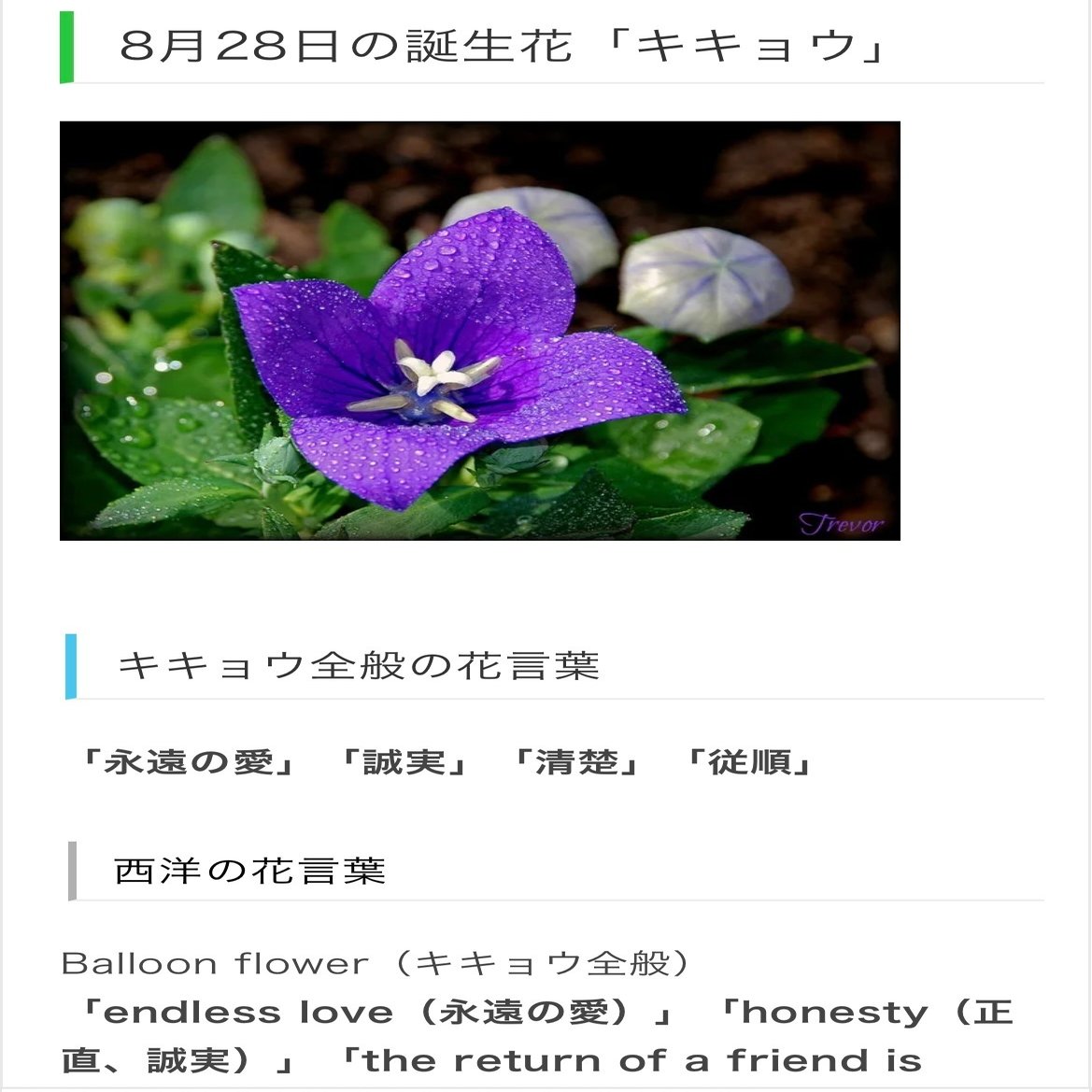 8月28日生まれのあなたへ Chiyo Note