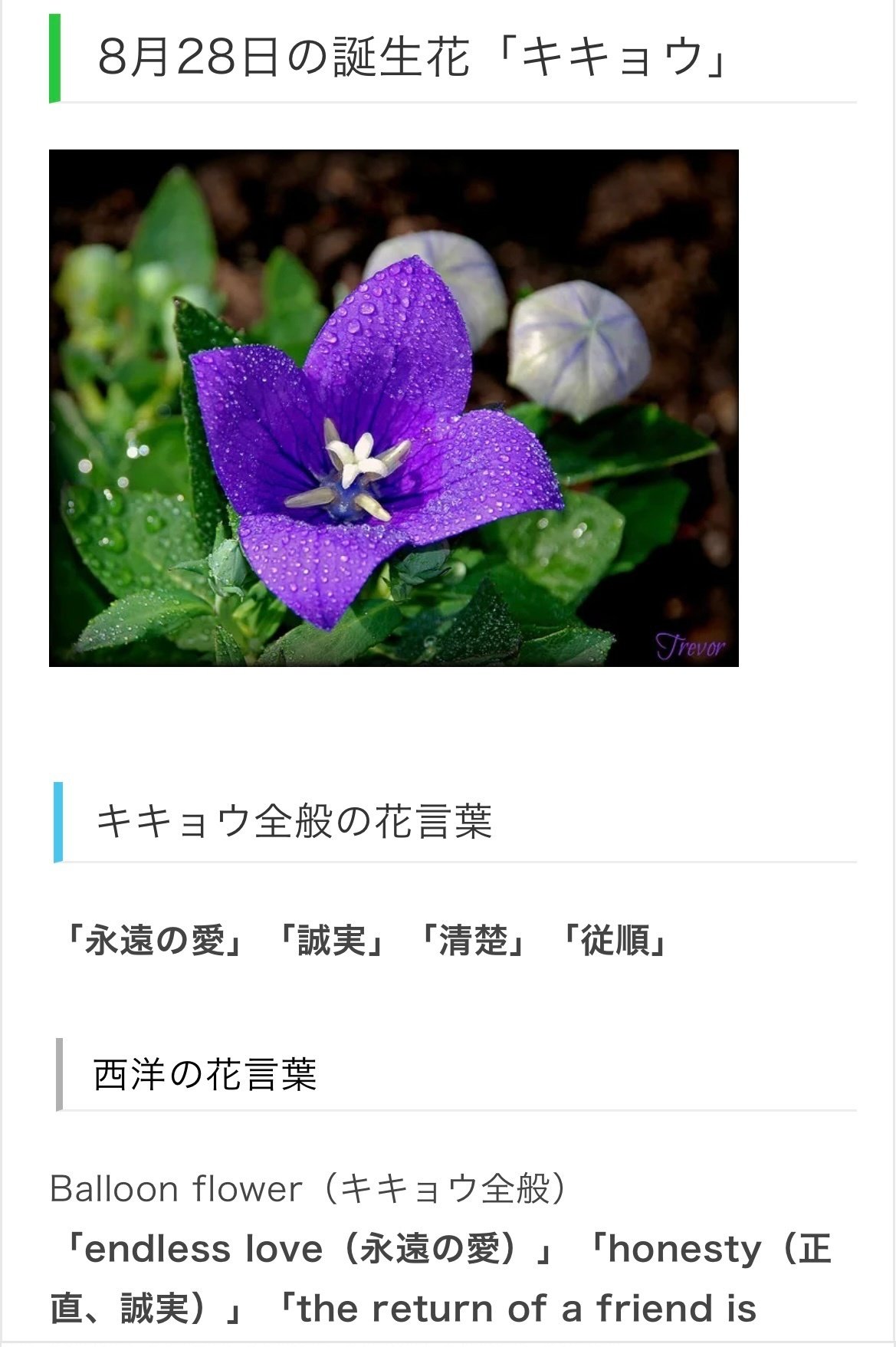 8月28日生まれのあなたへ Chiyo Note 8月28日生まれのあなたへ Chiyo Note