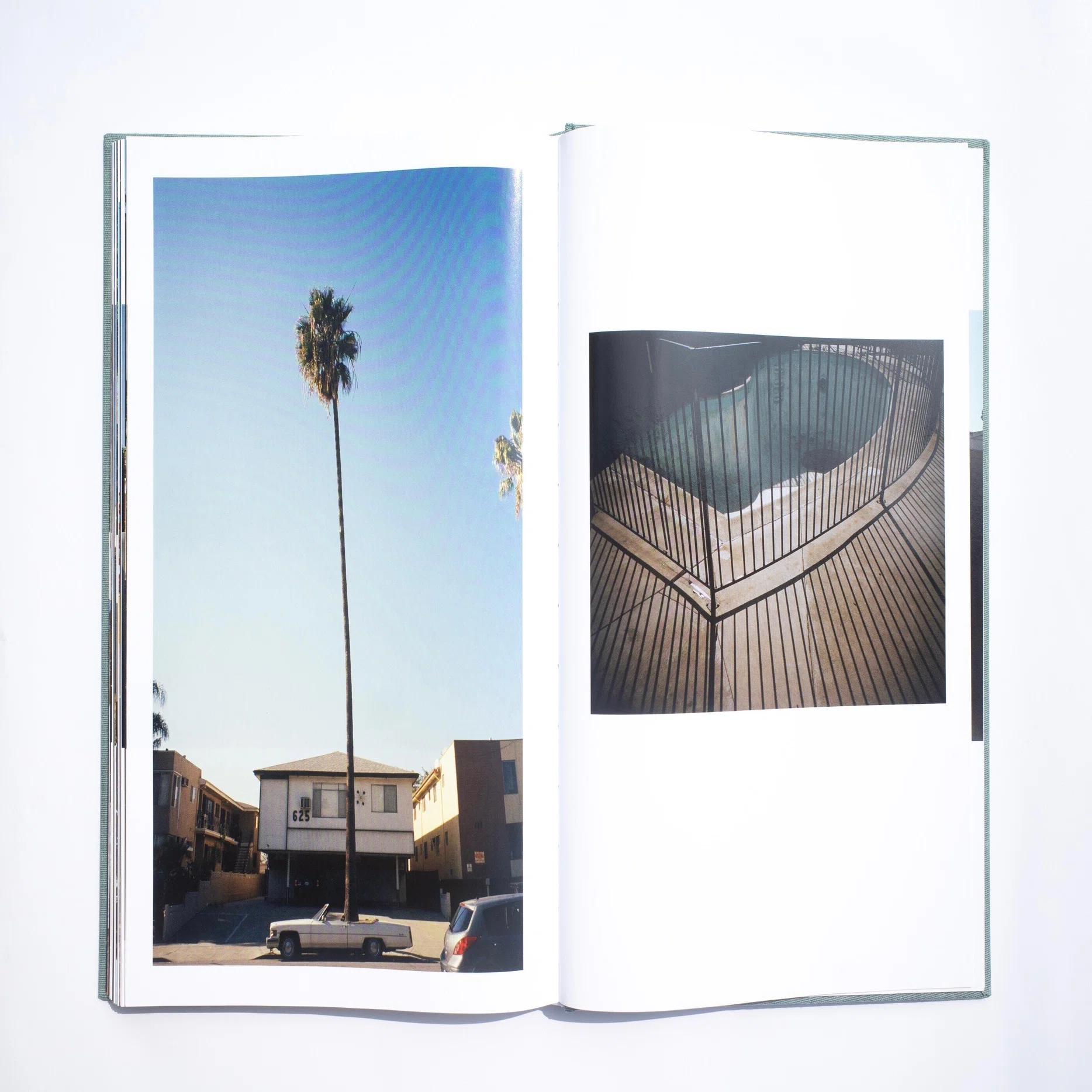 NOT TOO LATE #4: Tino Razo: PARTY IN THE BACK｜flotsambooks