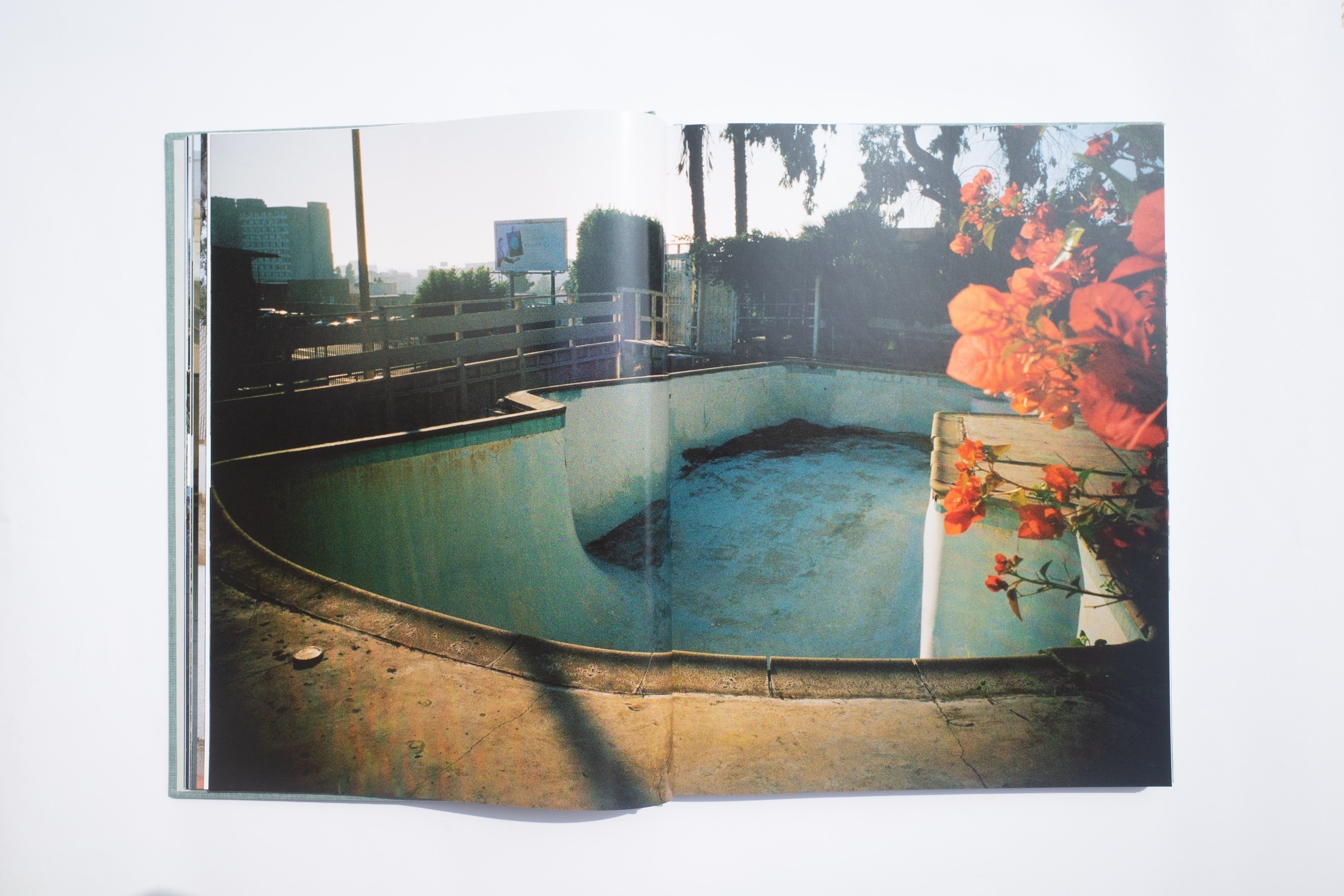 NOT TOO LATE #4: Tino Razo: PARTY IN THE BACK｜flotsambooks