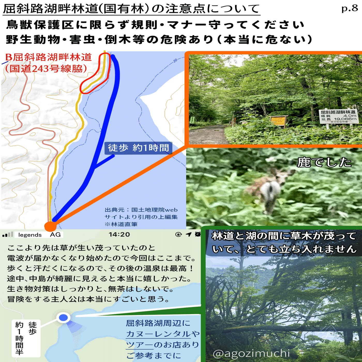 調査 ポケモンアルセウス モデル場所の考察 と 北海道観光ガイド ちまき Note