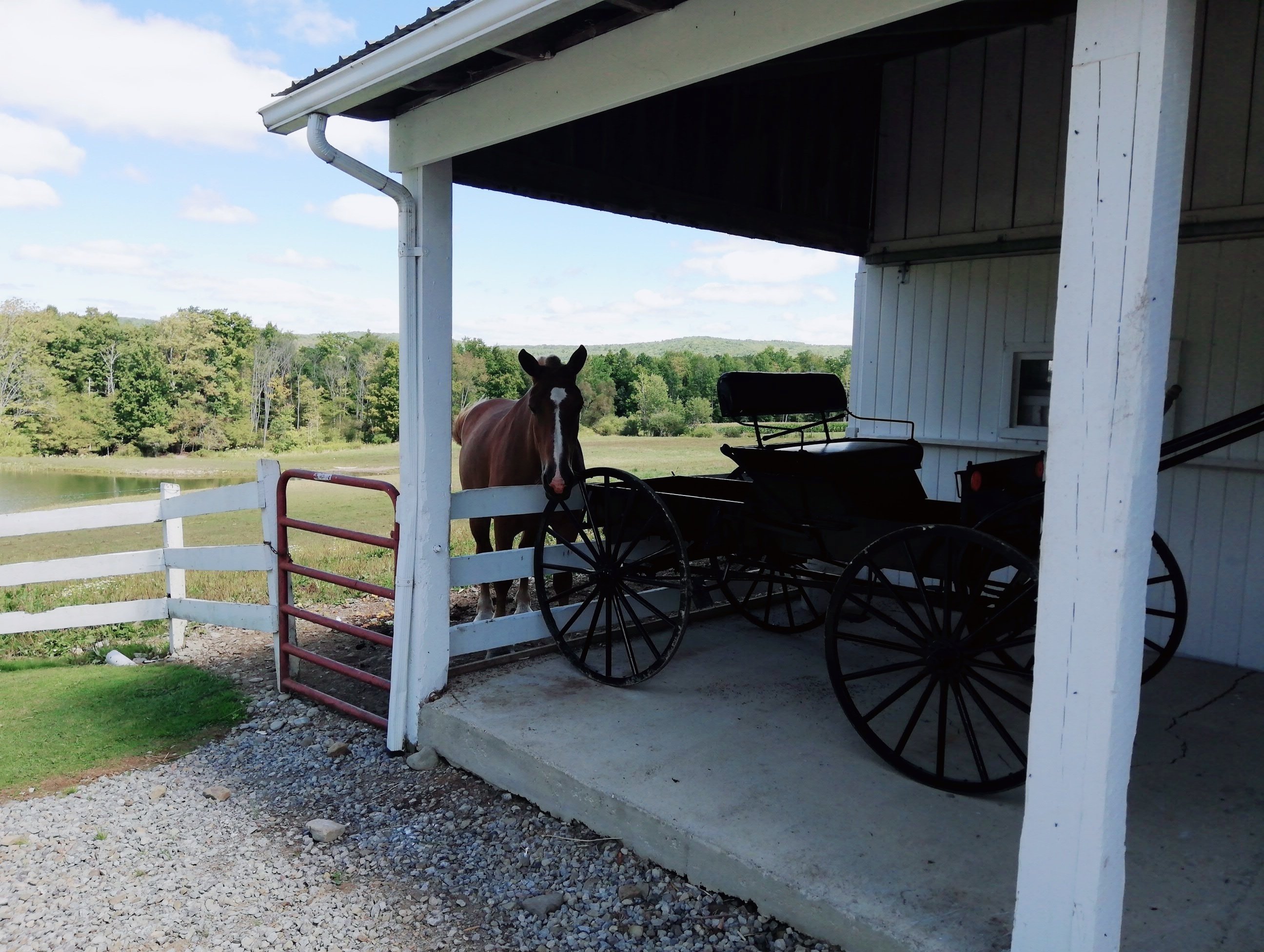 アーミッシュ｜tomandfrieda