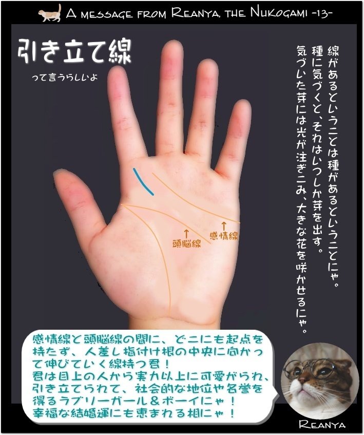 ヌコ神れーにゃの『幸せの種・手相5選』その3｜小鳥遊 陽柊