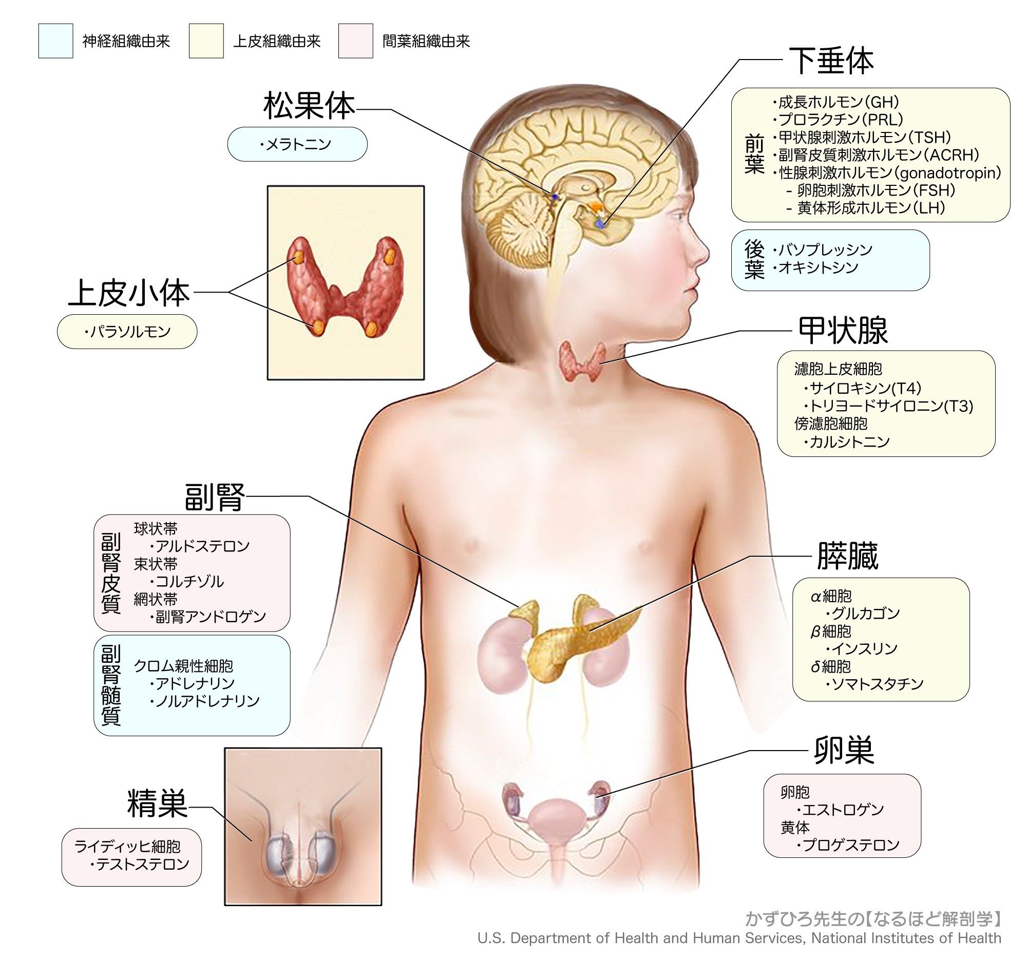 公認心理師 2019-83 - 公認心理師・臨床心理士の勉強会