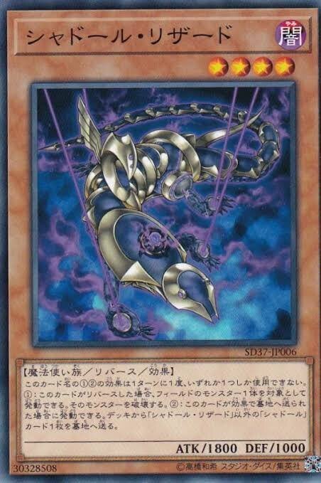 シャドールは強くて可愛い素敵な子｜はる