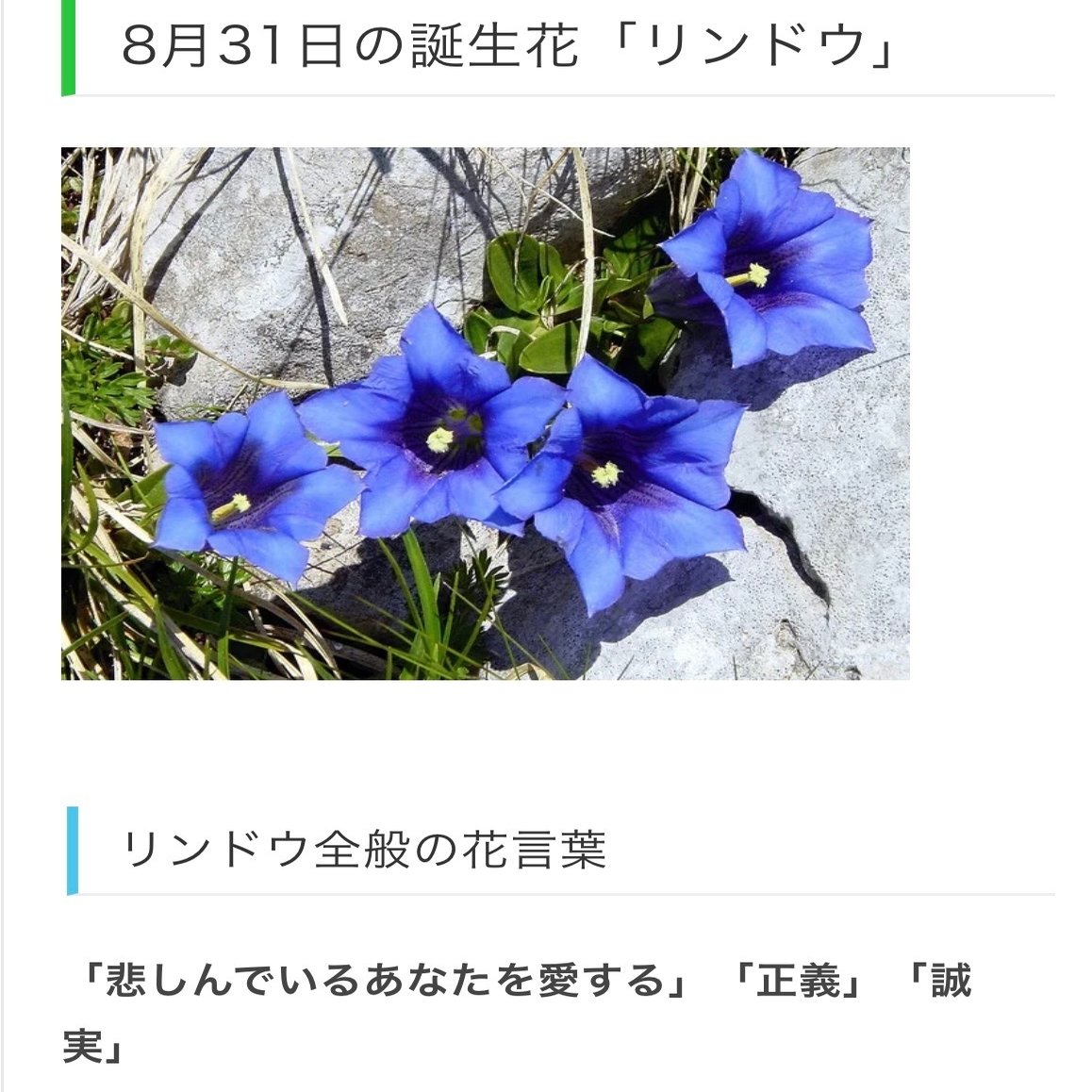 8月31日生まれのあなたへ Chiyo Note