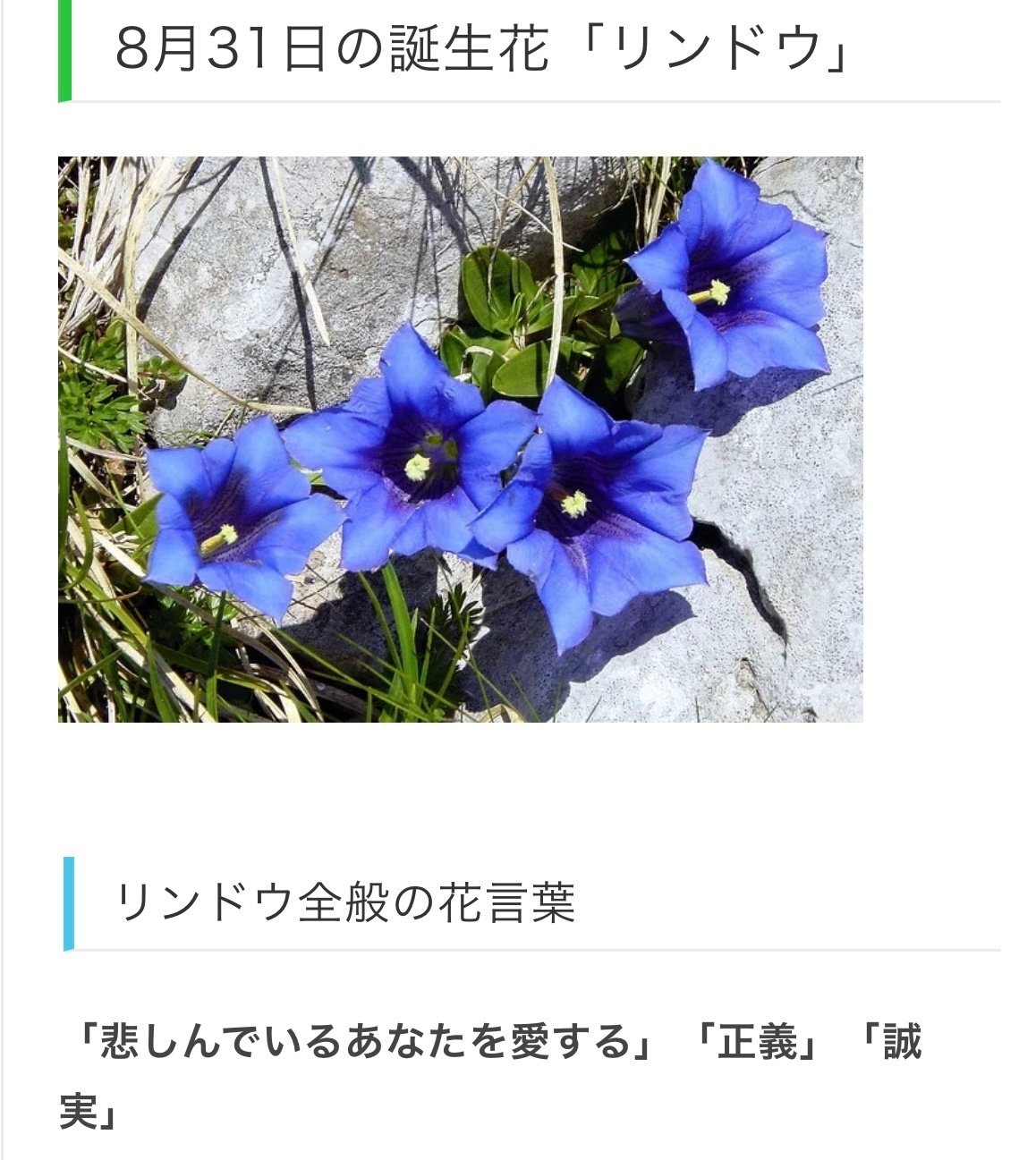 8月31日生まれのあなたへ Chiyo Note 8月31日生まれのあなたへ Chiyo Note