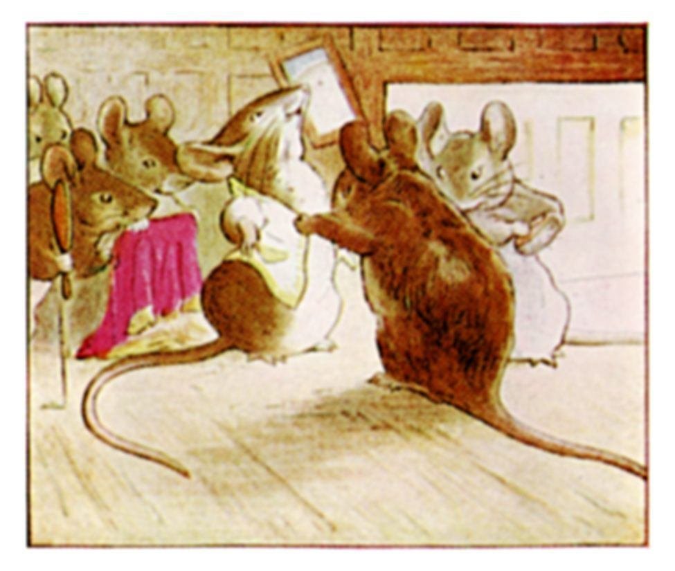 Peter Rabbit作品集｜Shigetaka3