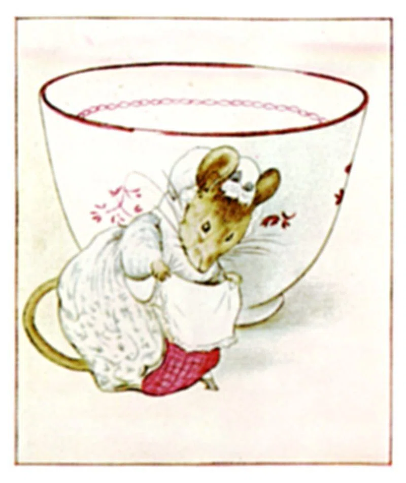 Peter Rabbit作品集｜Shigetaka3