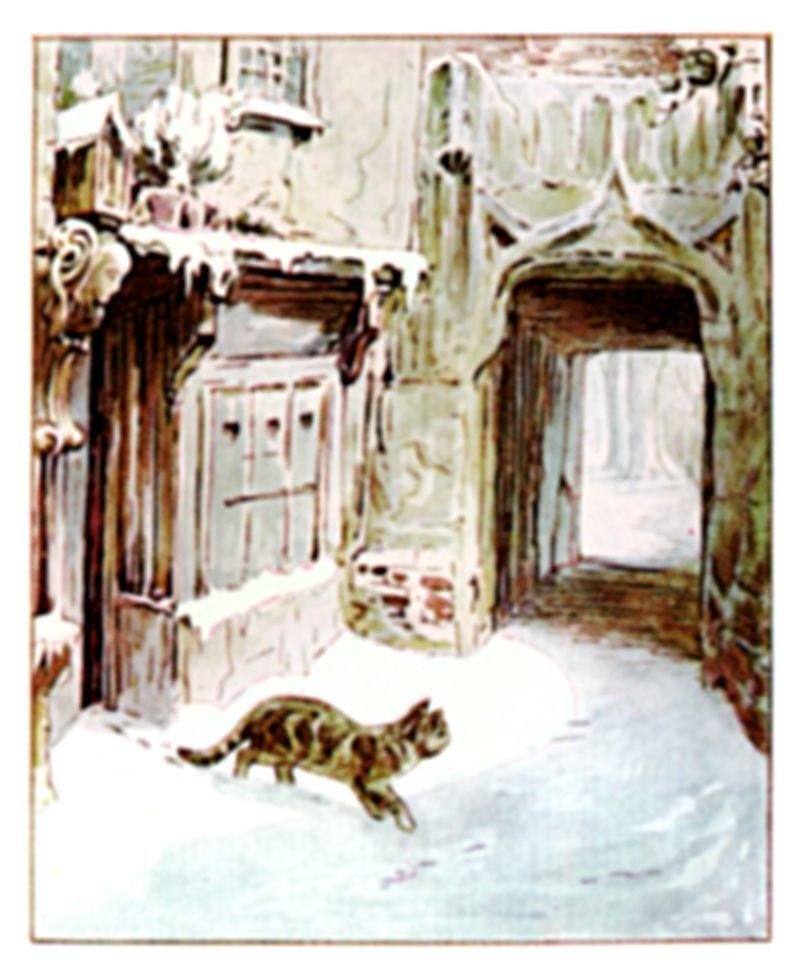 Peter Rabbit作品集｜Shigetaka3