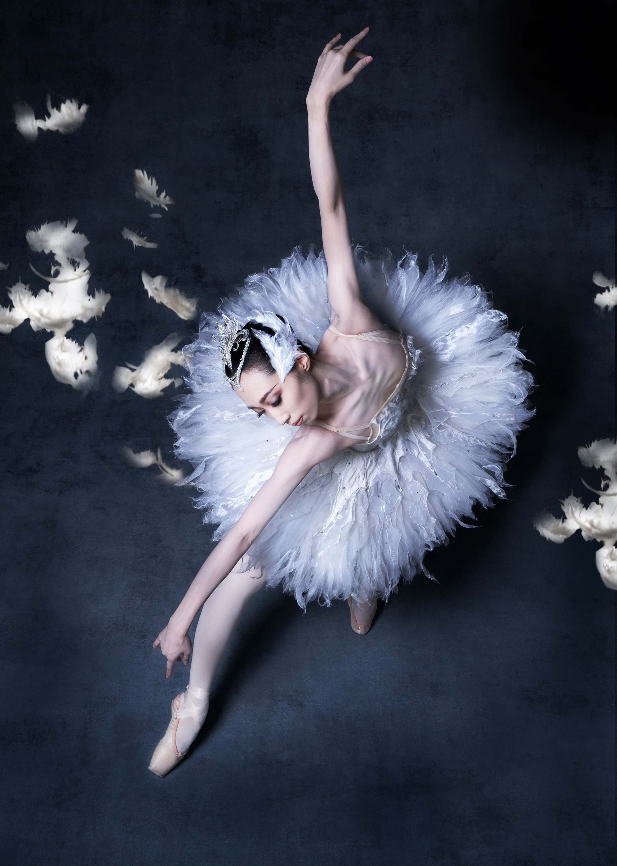 DVD バレエ「白鳥の湖」 K-ballet company 熊川哲也 量れる