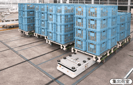 パプリカ生産施設の収穫物を自動搬送するシャープのAGV
