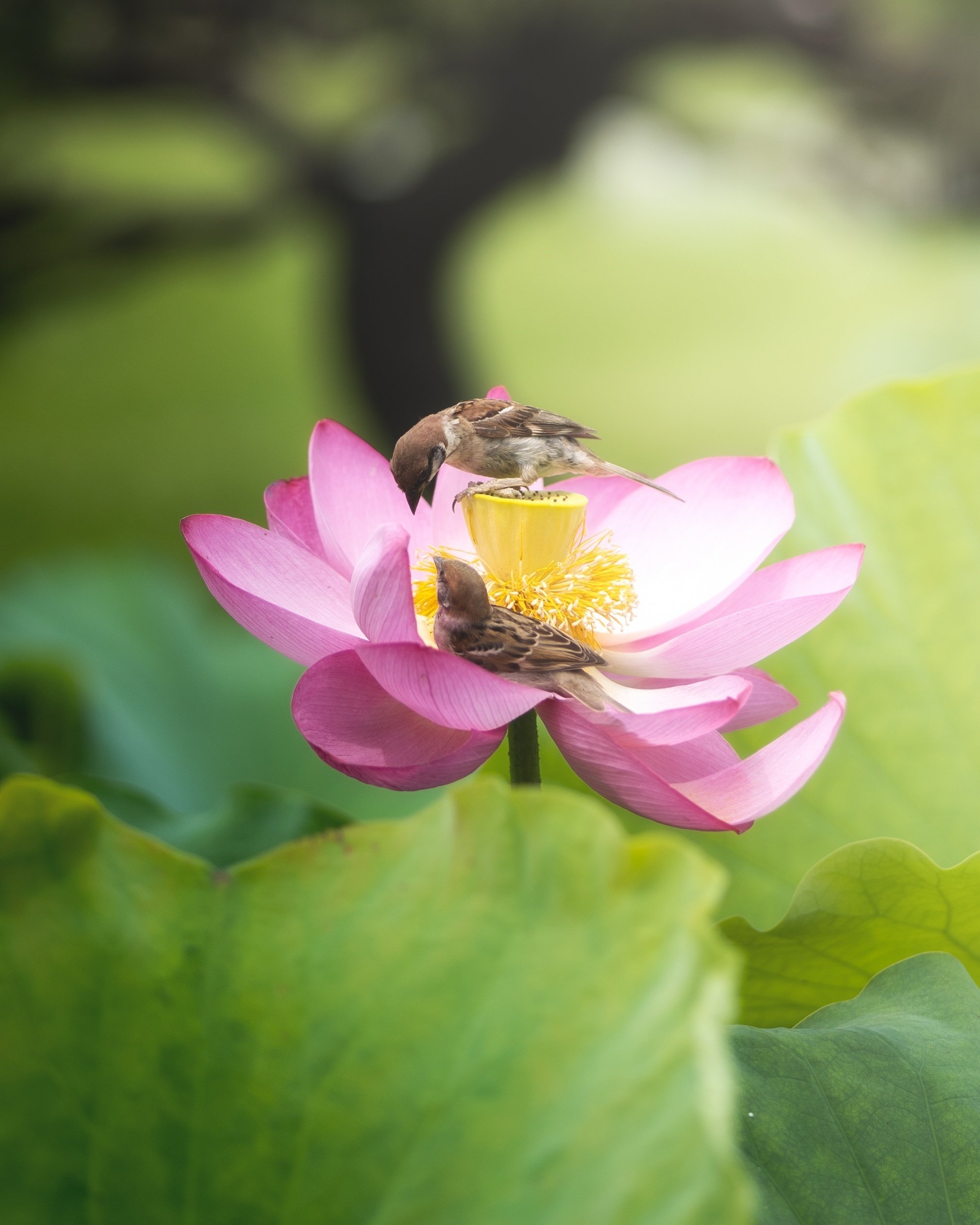 S5で撮影してきた写真を振り返りながらLUMIXの利点を考える｜関岡 大晃