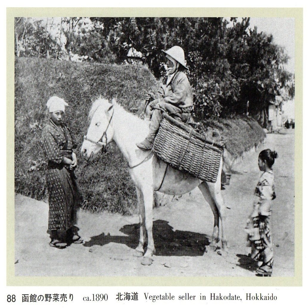 写真録 馬 函館の野菜売り 江島 達也 対州屋 Note