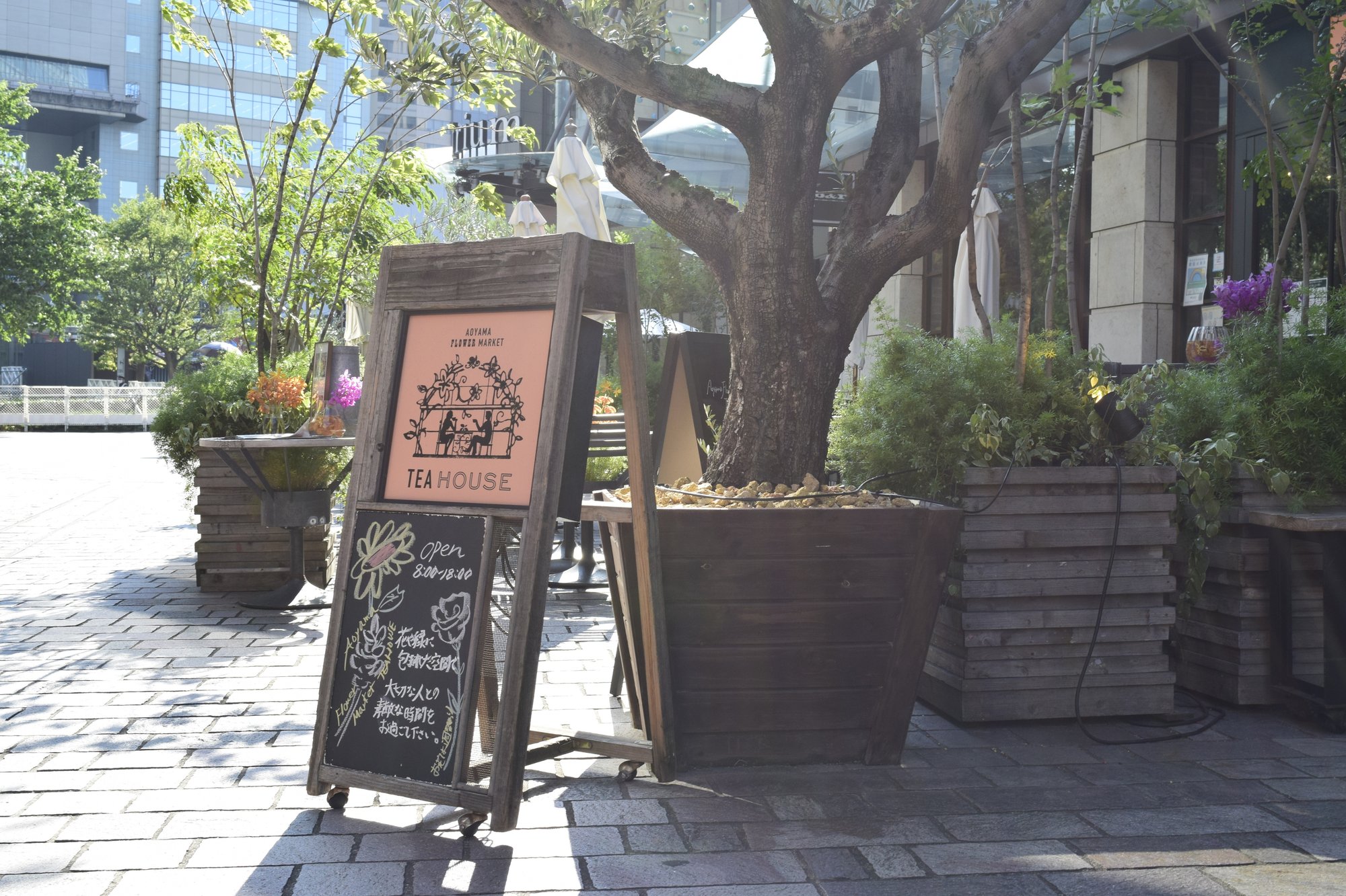 赤坂 喫茶店 パンジー