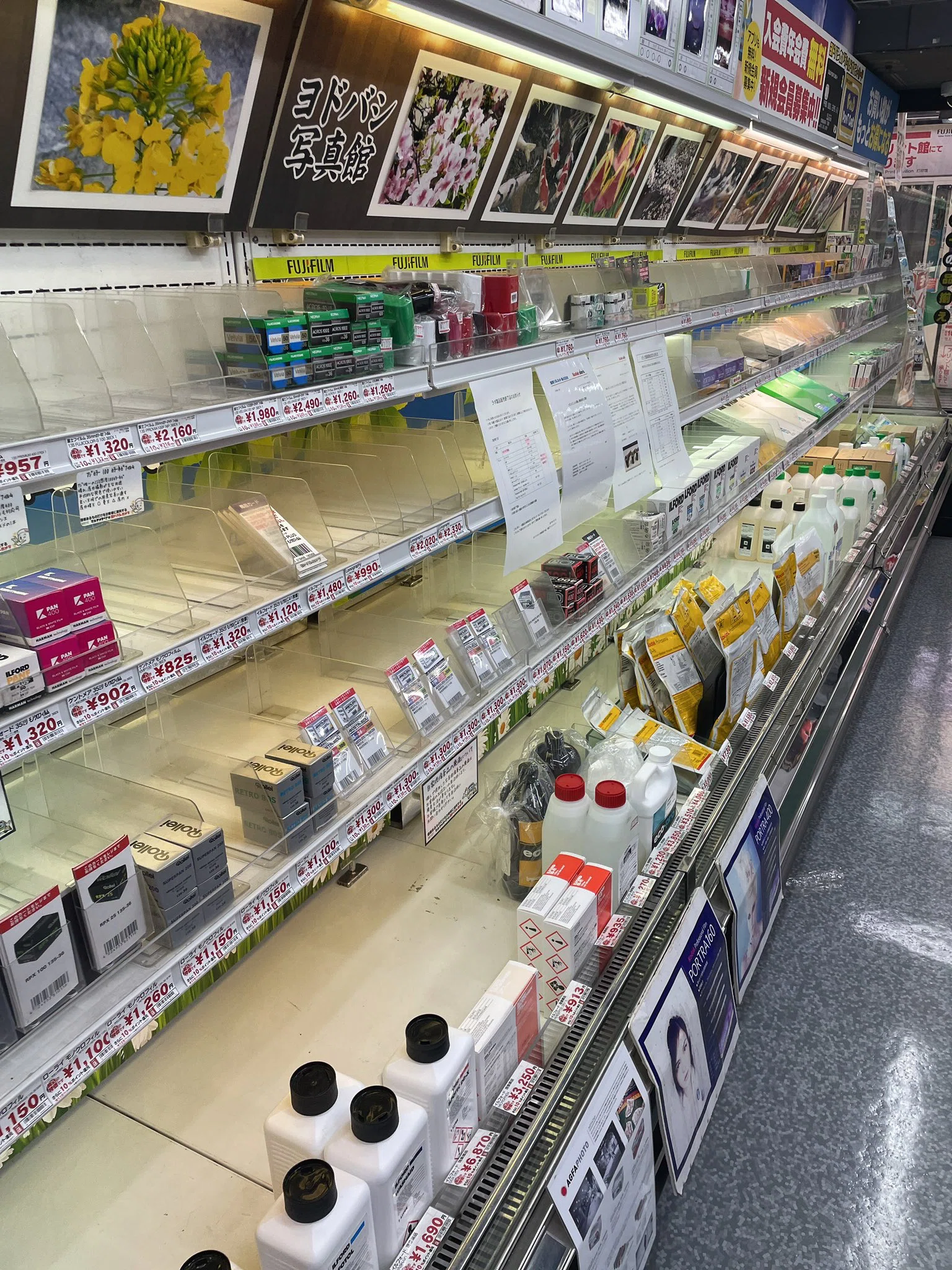 チャンプカメラのフィルムの種類の多さに震えが止まらない。｜ニシハラ