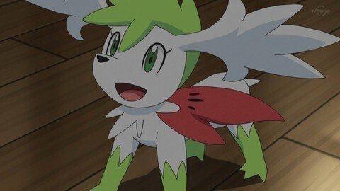 Smスクール組 キャラ 手持ち語りシリーズ マオ編 こめこめくらぶ Note