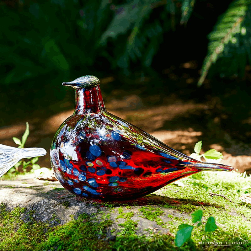 川辺に佇む iittala コマドリ クランベリー