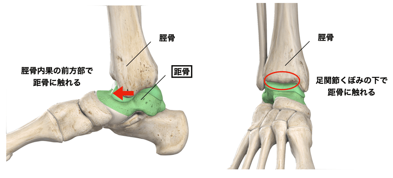 中古 激安販売 足部・足関節の評価と治療～足関節捻挫を中心とした足部