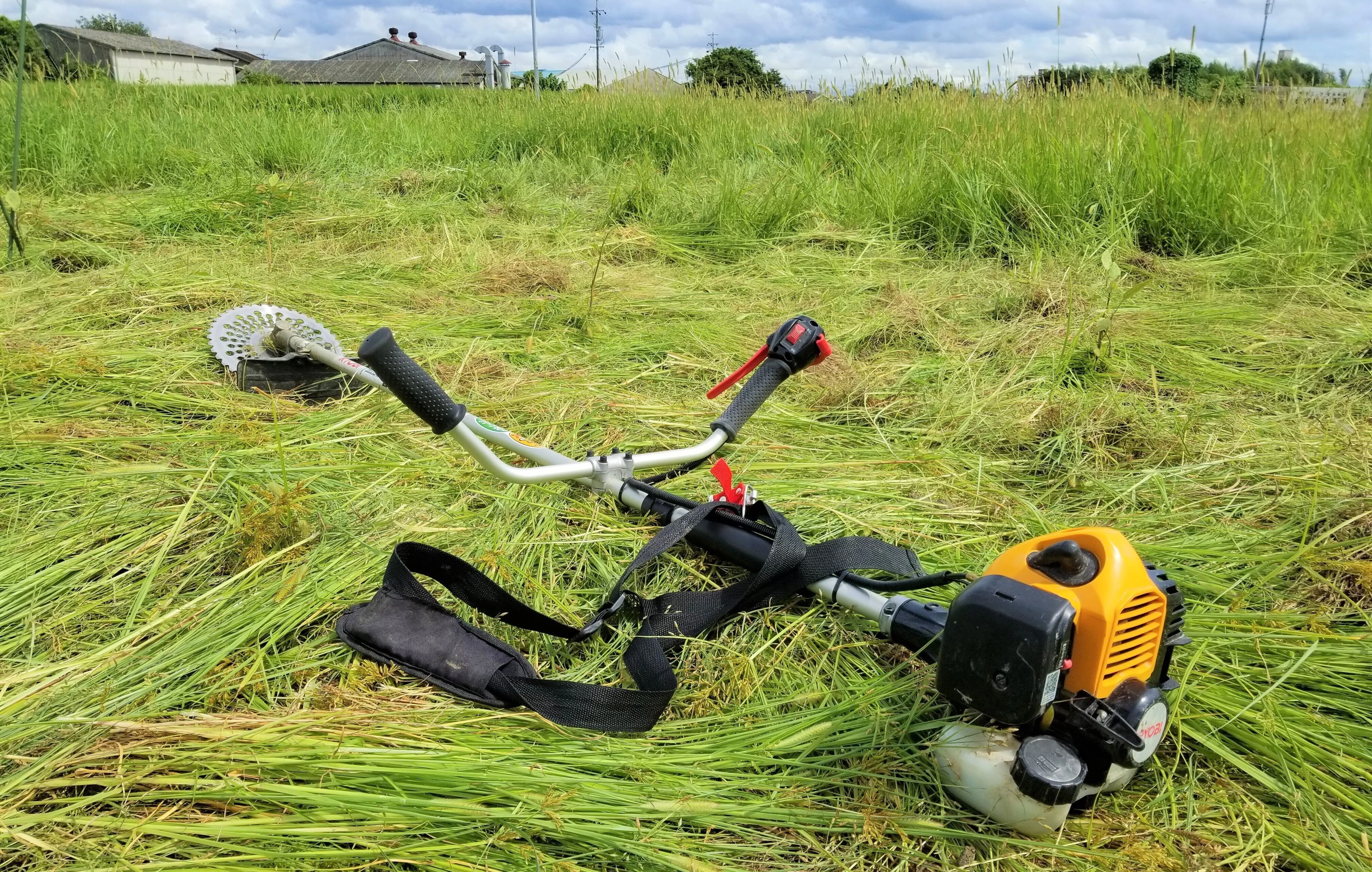 畑の草刈りを楽しくする方法🍀🌿🌾｜錬金術師の家庭菜園