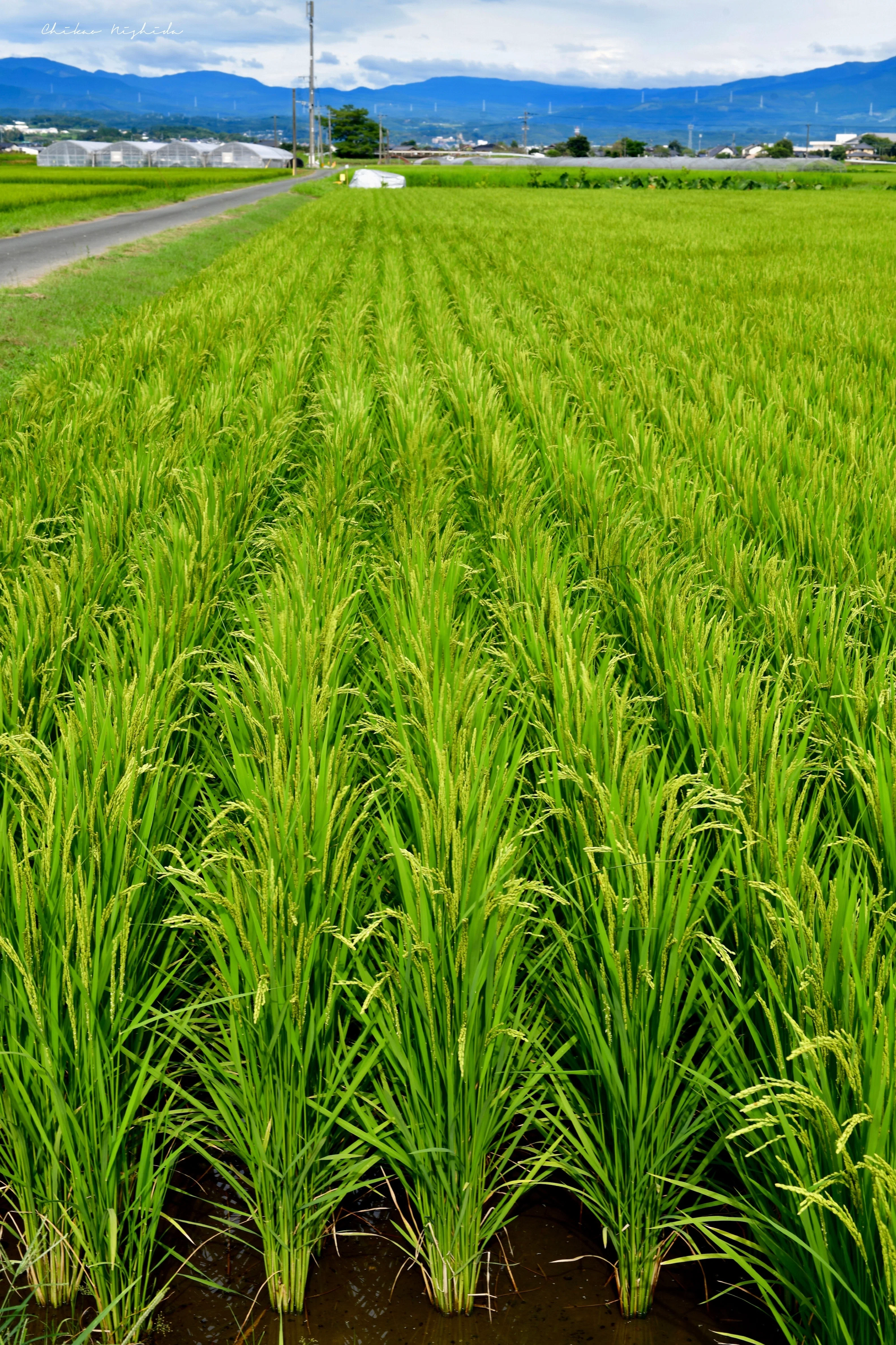 心癒される、『COUNTRYSIDE』。台風前の静かなる田園風景。｜西田親生