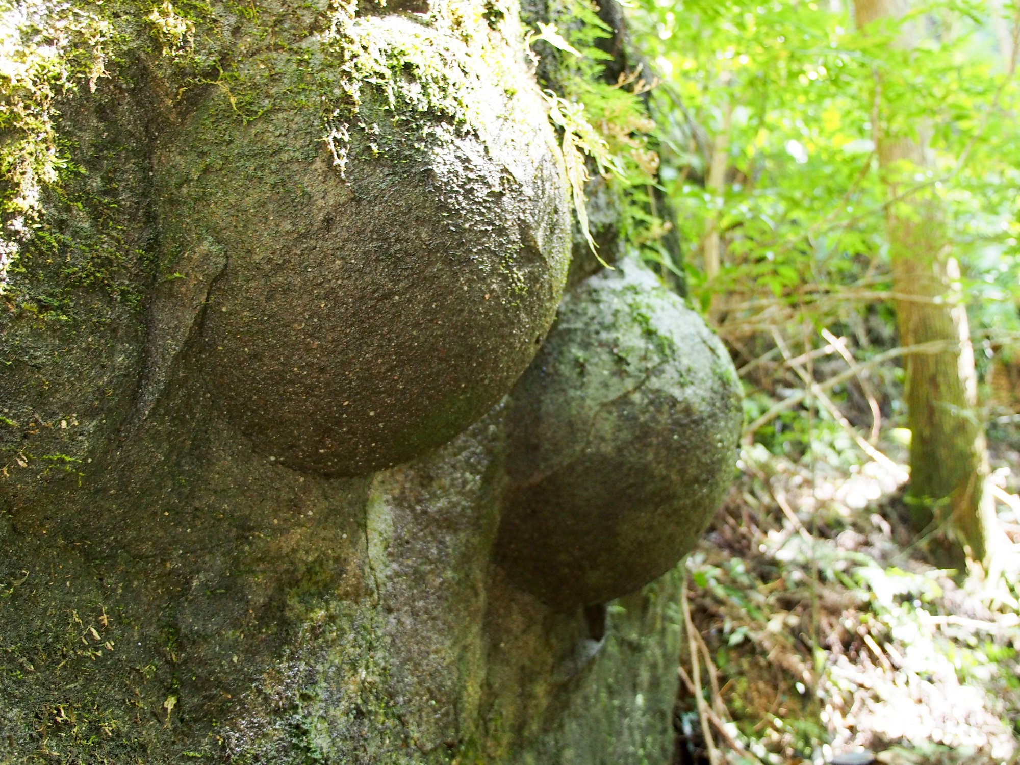 丸石は縄文信仰のなごり？ 熊野・四国・コスタリカ・山梨の備忘録｜藤井満