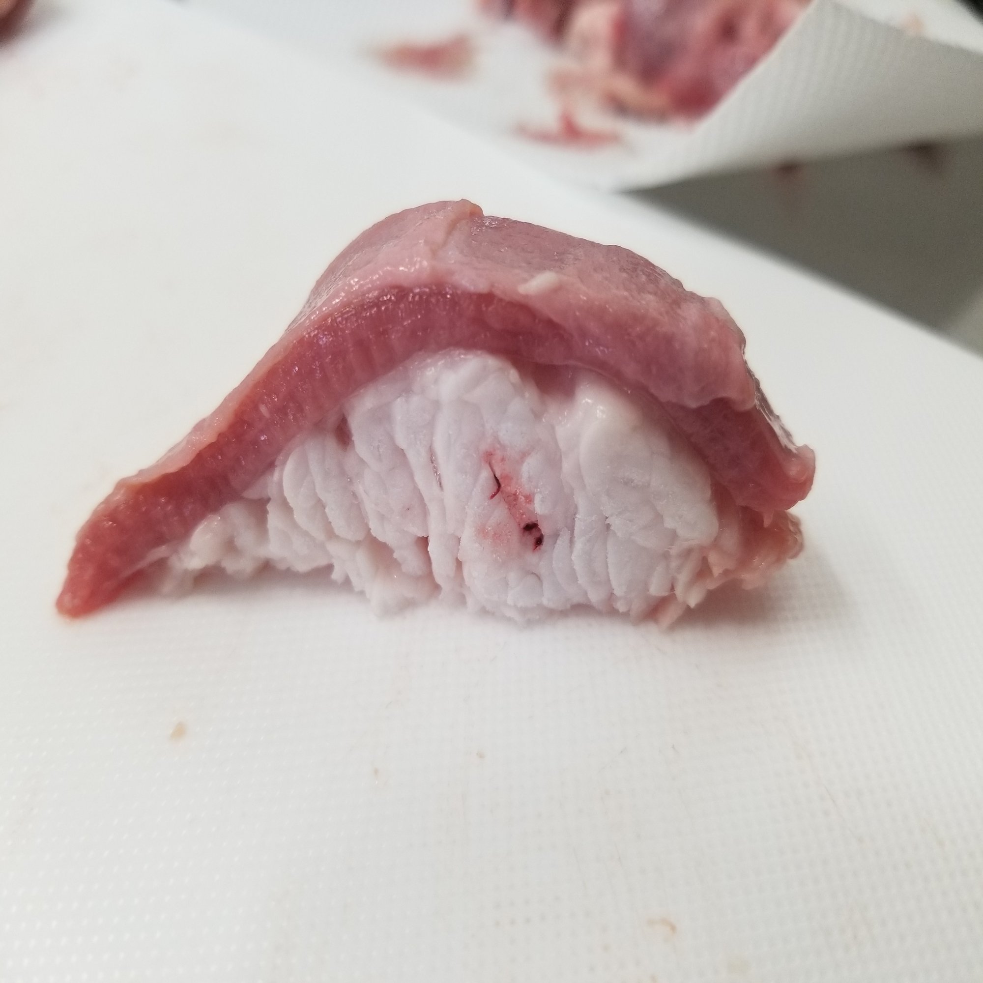 肉の寿司に見えたらポンコツ キティ Note