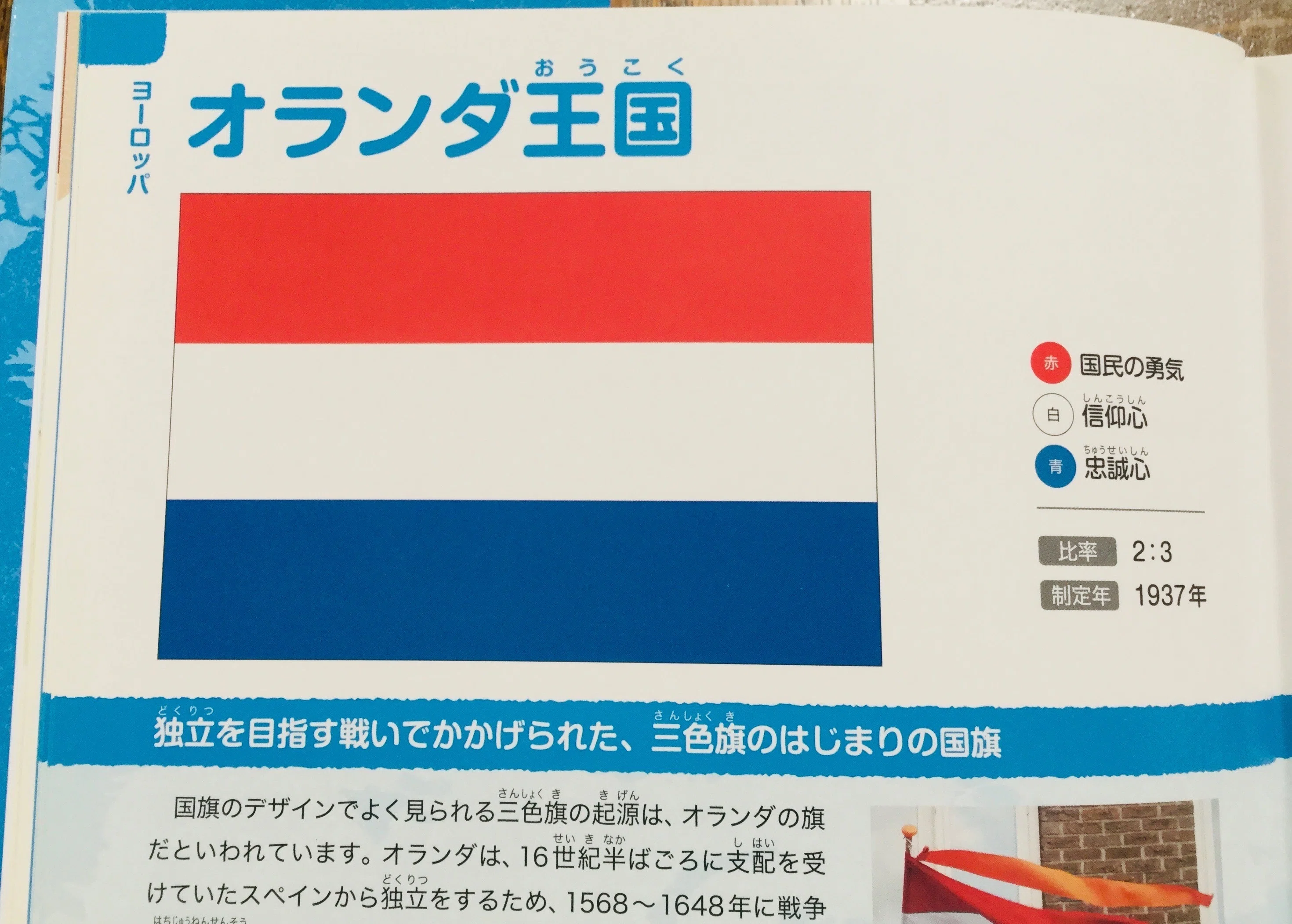 スピネルいろいろ｜桂田祐介