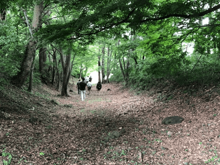 森の中の小道　人が数名歩いている