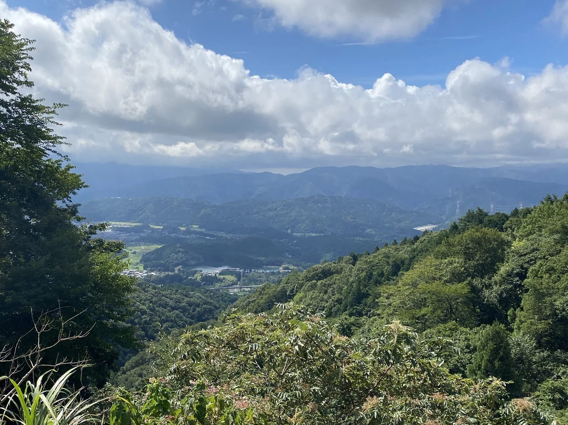 128 霧に抱かれて伊吹山に登る｜揺蕩う旅人・なお（ミヤコカエデ）