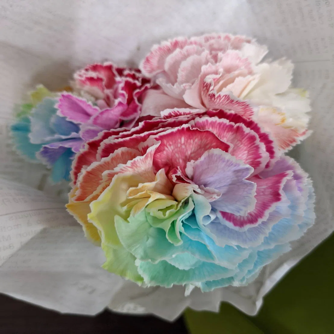 地域に感謝の花を咲かせたい 人への想いを虹色カーネーションに託して Chimoriなとり Note