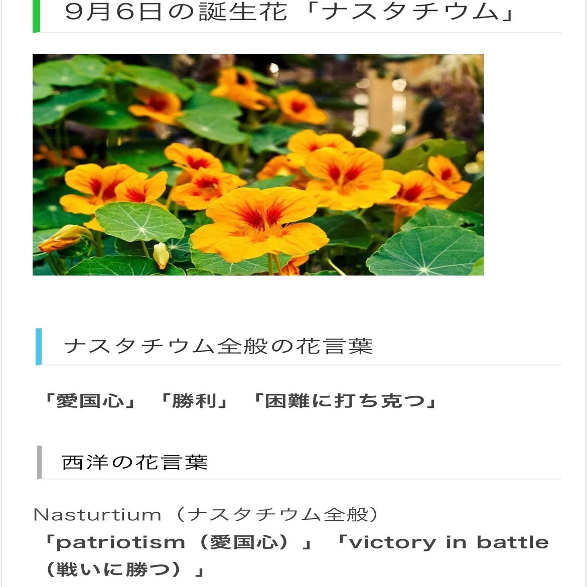 9月6日生まれのあなたへ Chiyo Note