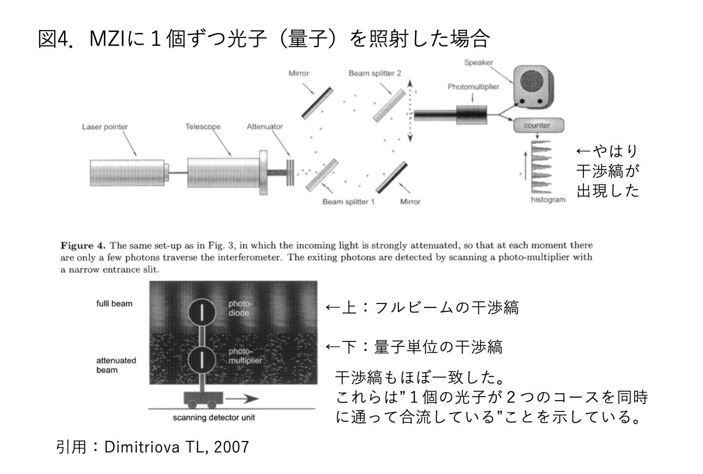 量子」と「時間」と「世界」の謎解き｜NEW LIFE