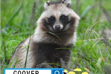 タヌキ の新着タグ記事一覧 Note つくる つながる とどける タヌキ の新着タグ記事一覧 Note つくる つながる とどける