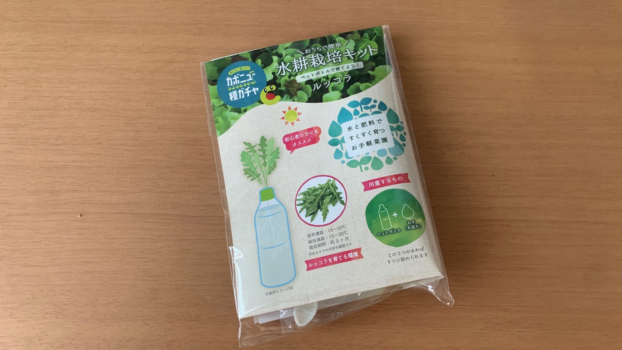 遅ればせながら まよちゃもルッコラ育てるよの巻 まよちゃ Note 遅ればせながら まよちゃもルッコラ育てるよの巻 まよちゃ Note