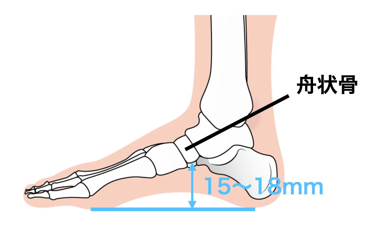 足関節痛の理学療法 足部が苦手でもできる評価とアプローチ サブスク 理学療法士による理学療法士のためのnote Note 足関節痛の理学療法 足部が苦手でもできる評価とアプローチ サブスク 理学療法士による理学療法士のためのnote Note