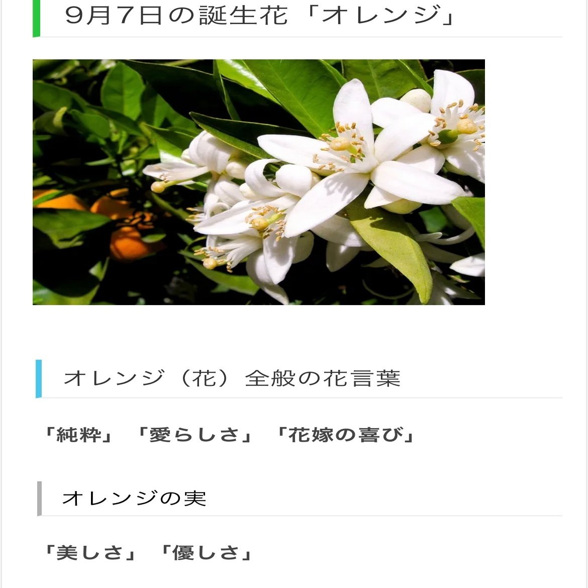 9月7日生まれのあなたへ Chiyo Note