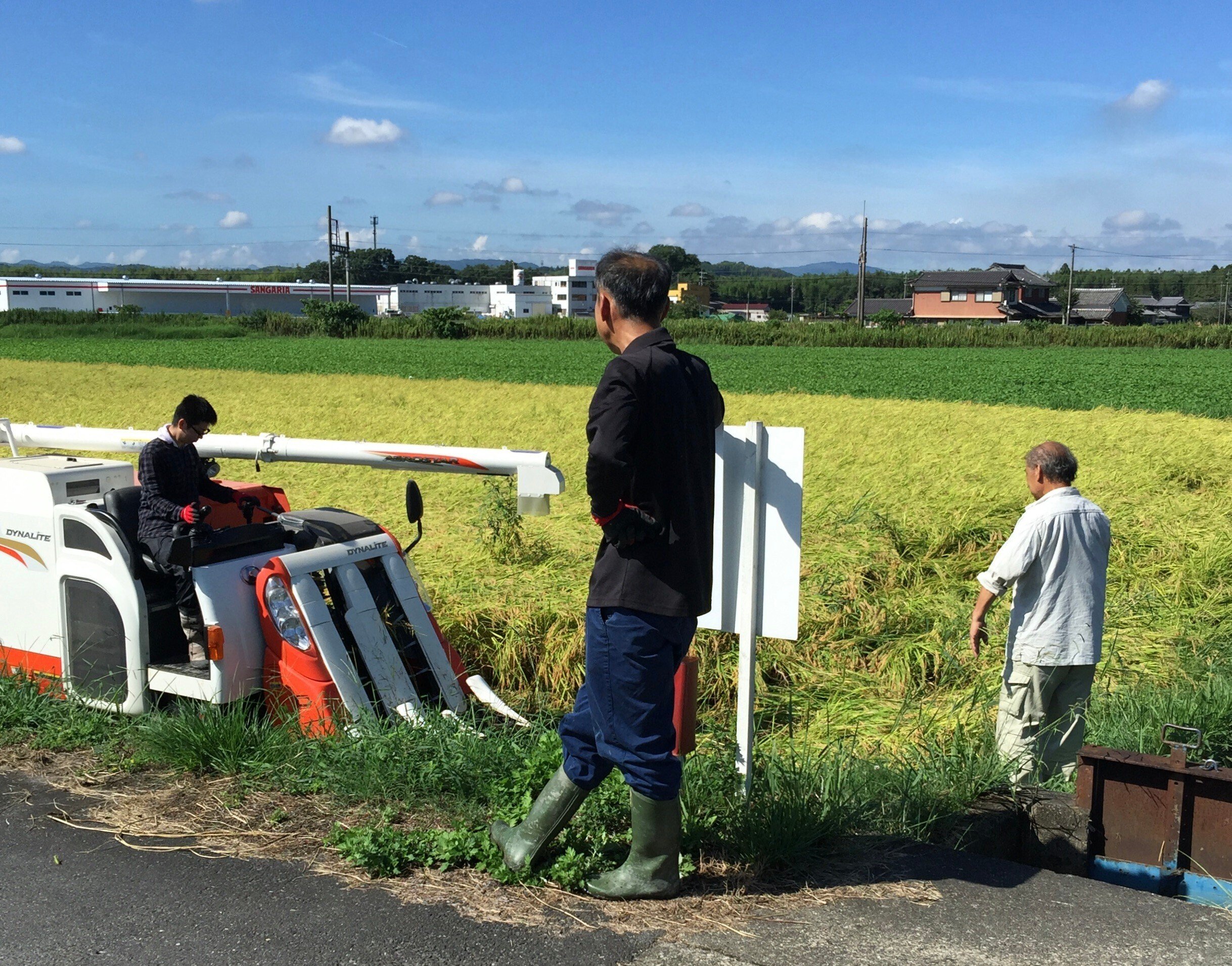 ゼロから始める伊賀の米づくり35：台風が迫る中、3年目の収穫🌾｜大森