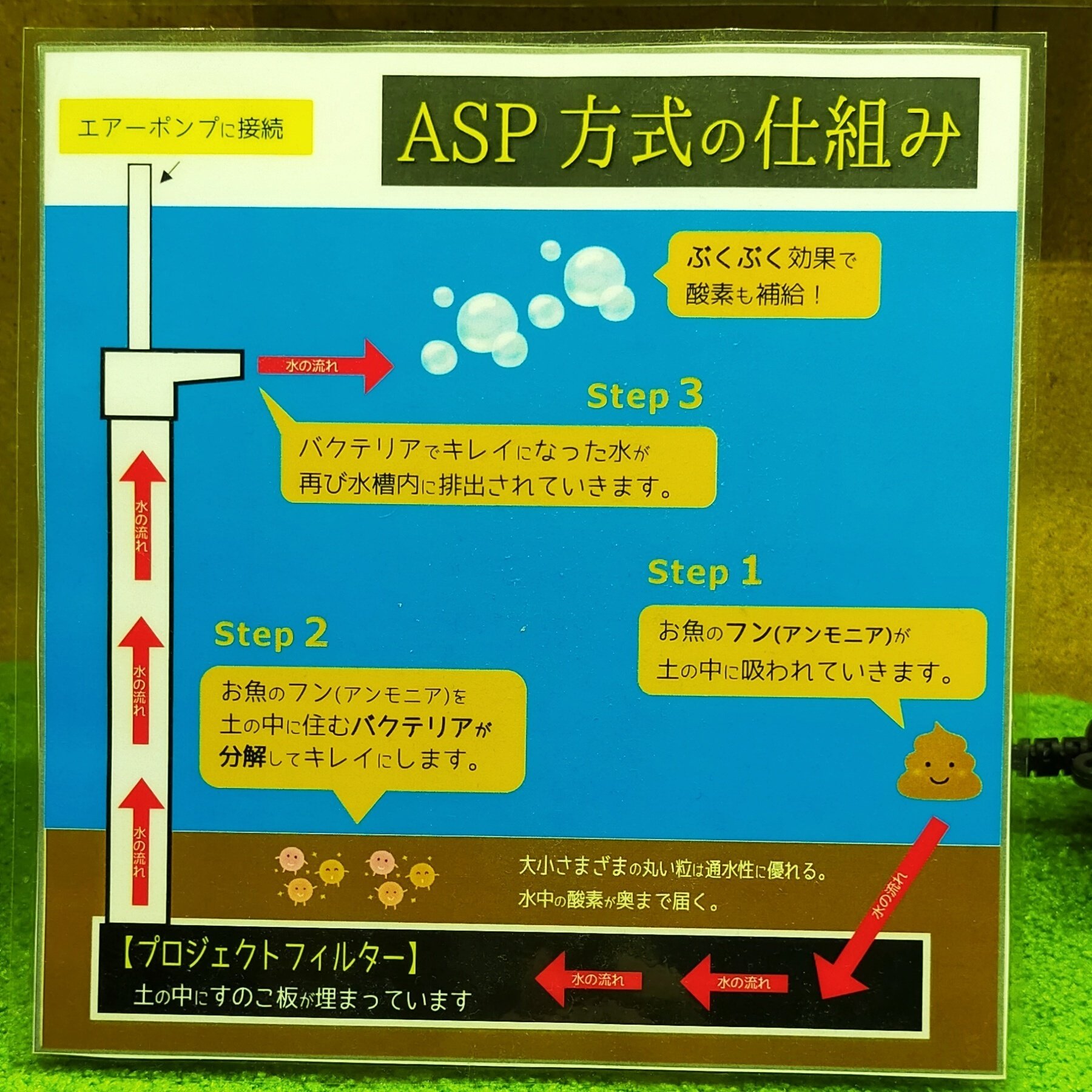 プロジェクトフィルターとは アクアステージ21スナモ店 Note プロジェクトフィルターとは アクアステージ21スナモ店 Note