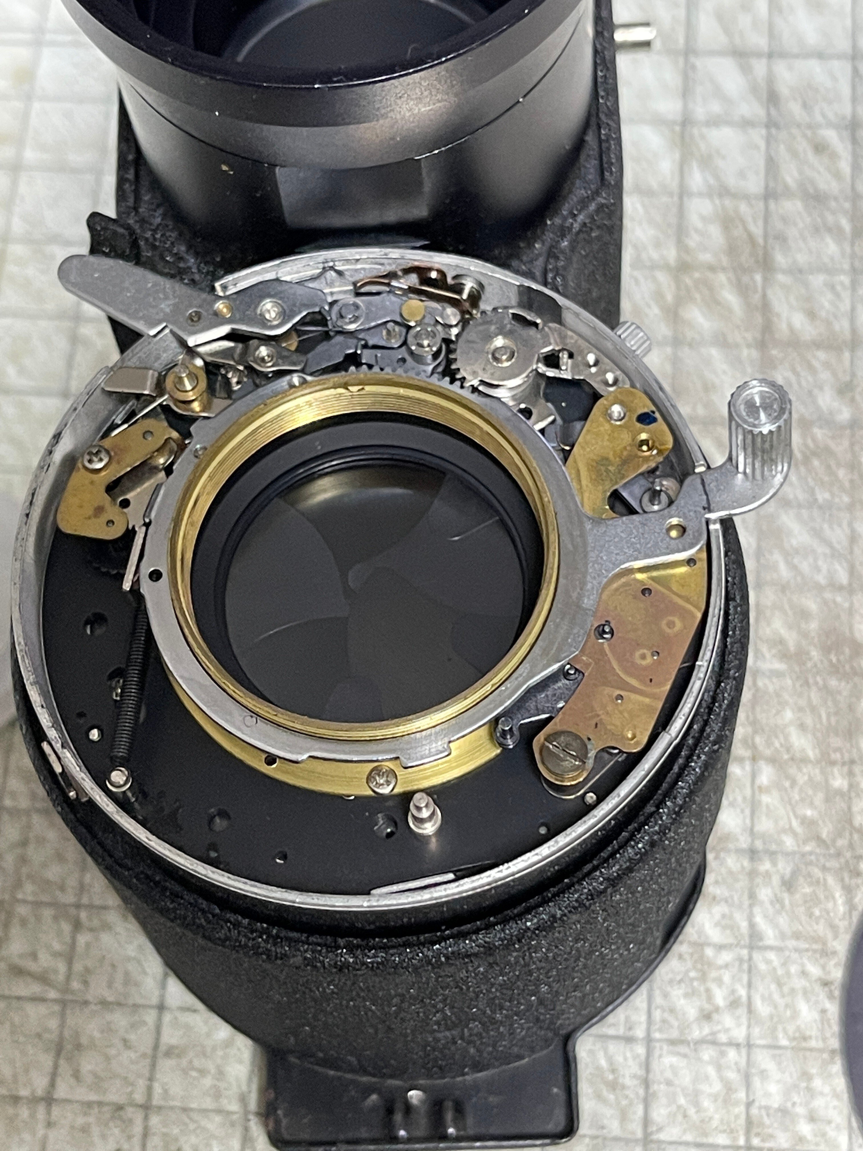 二眼レフで望遠？？？？｜怪力熊男