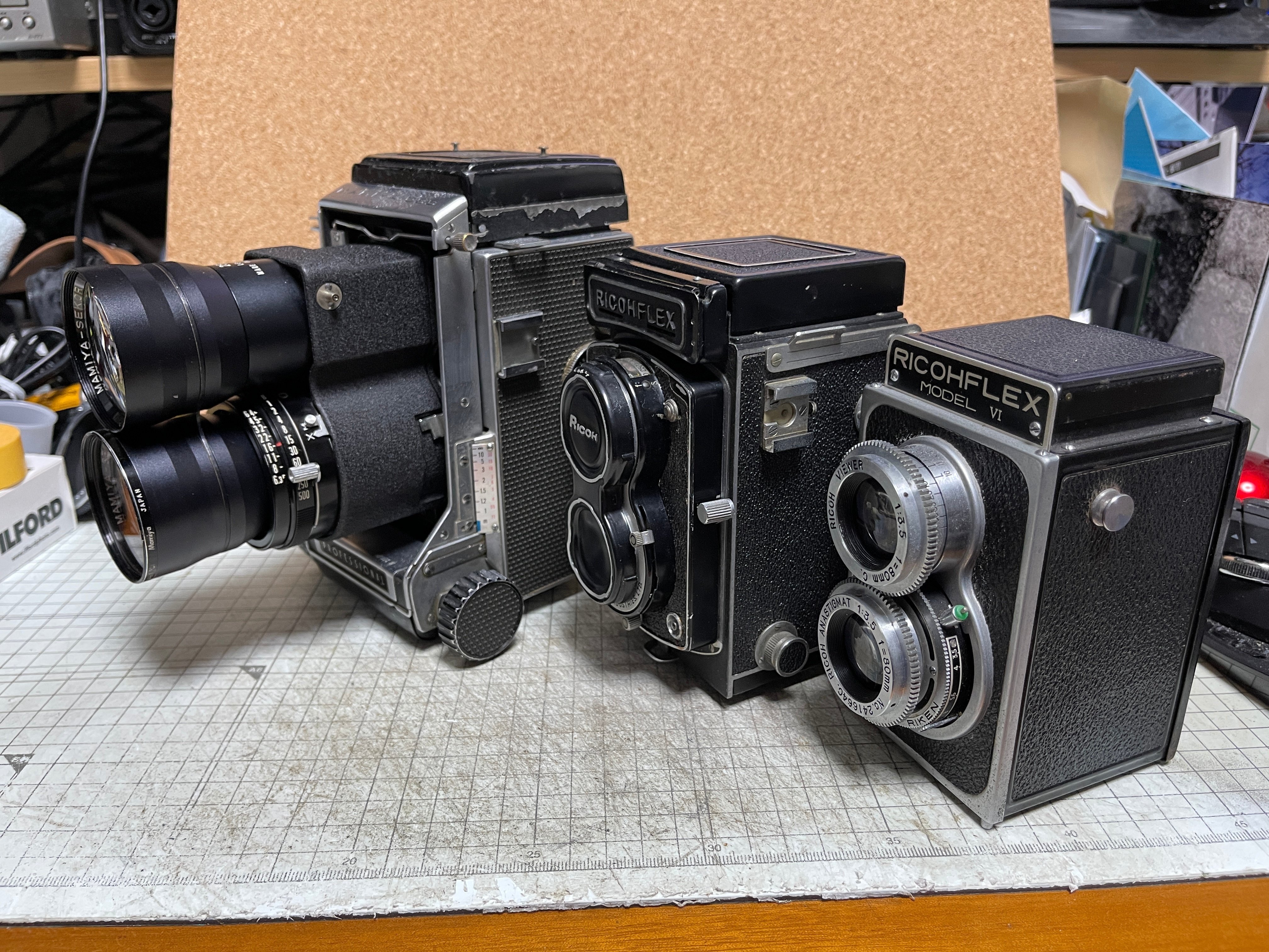 二眼レフで望遠？？？？｜怪力熊男