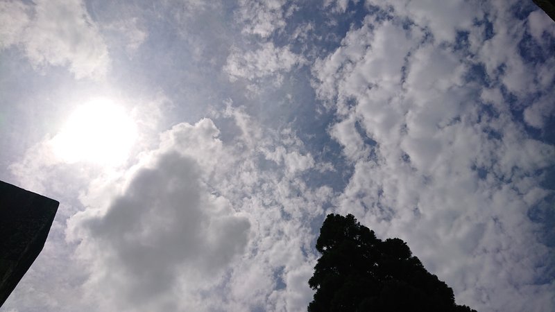 これは夏の空。空にも季節の模様があるんですね。