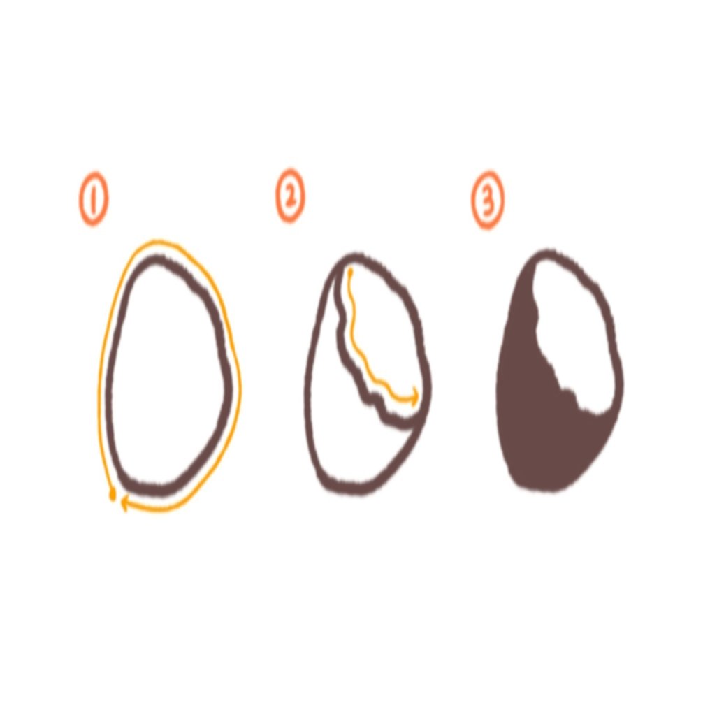 かんたん かわいい 秋に使えるイラストの描き方 こはら なつ Note