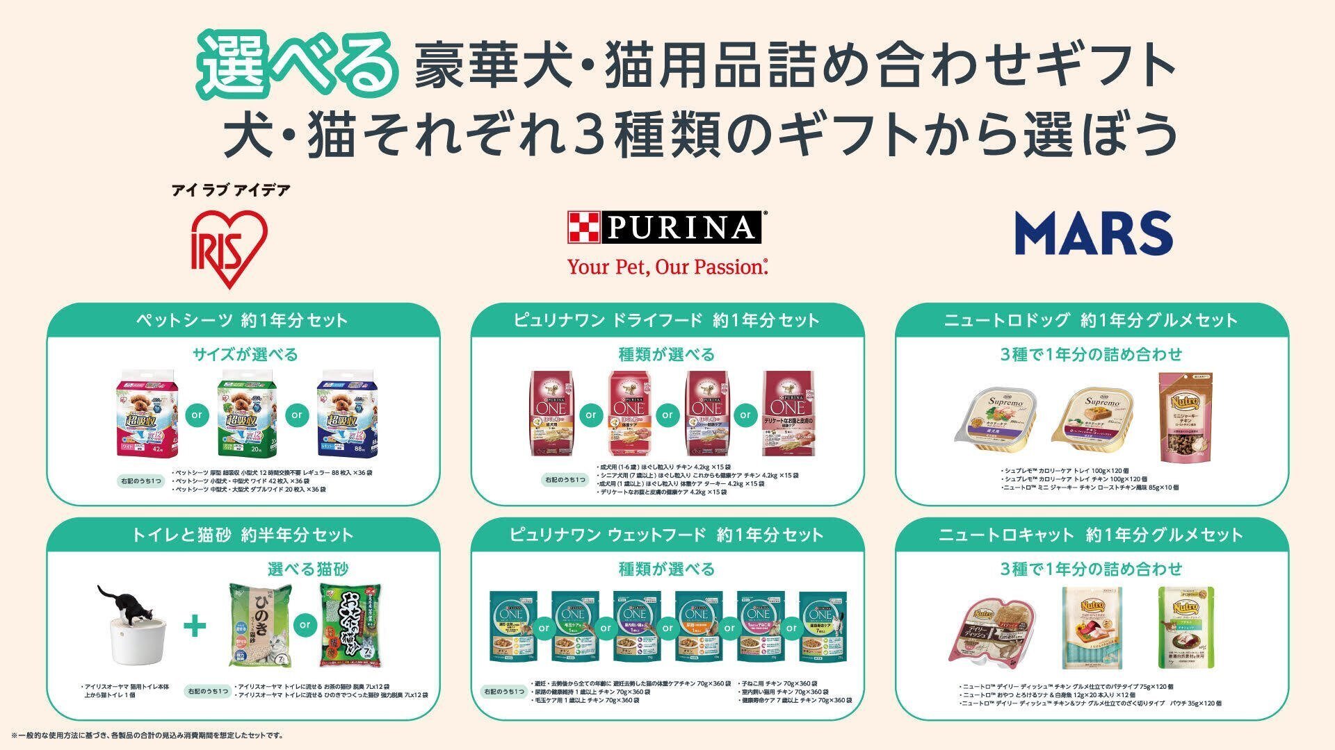 Amazonの保護犬 保護猫 Welcome Family Campaign Noteで 投稿コンテスト うちの保護いぬ保護ねこ を開催します Note公式 Note Amazonの保護犬 保護猫 Welcome Family Campaign Noteで 投稿コンテスト うちの保護いぬ保護ねこ を開催します Note公式 Note
